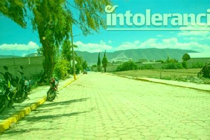 Addison, 37 — Escort in Palmarito Tochapan, Mexico