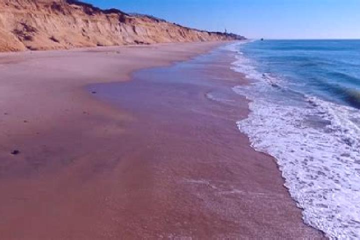 Addison, 37 — Escort in Playa Larga, Mexico