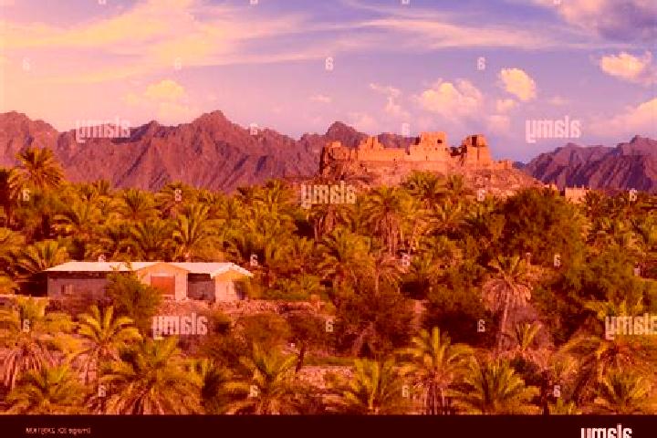 Addison, 37 — Escort in Rustaq, Oman