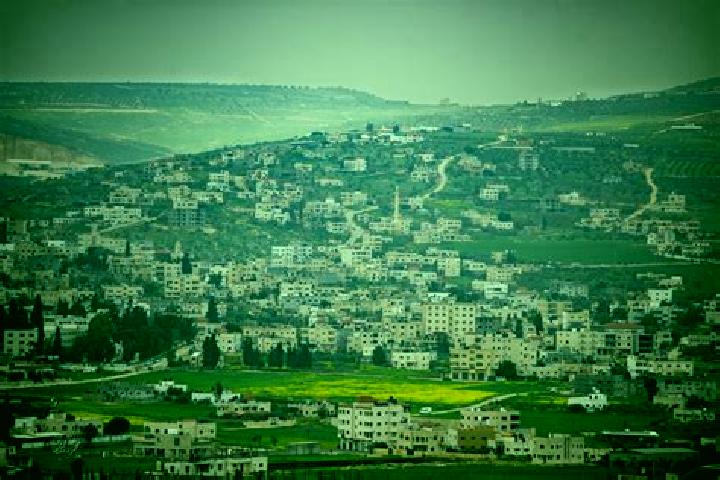 Addison, 37 — Escort in Tubas, Palestine