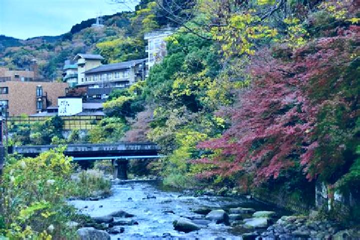 Addison, 37 — Escort in Yugawara, Japan