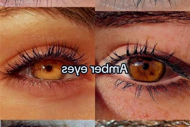 Addison, 38, a brunette amber-eyed caucasian companion based in Sao Caetano do Sul. Offering A-Level, 69, Couples, Massage. Available for incall and outcall,...