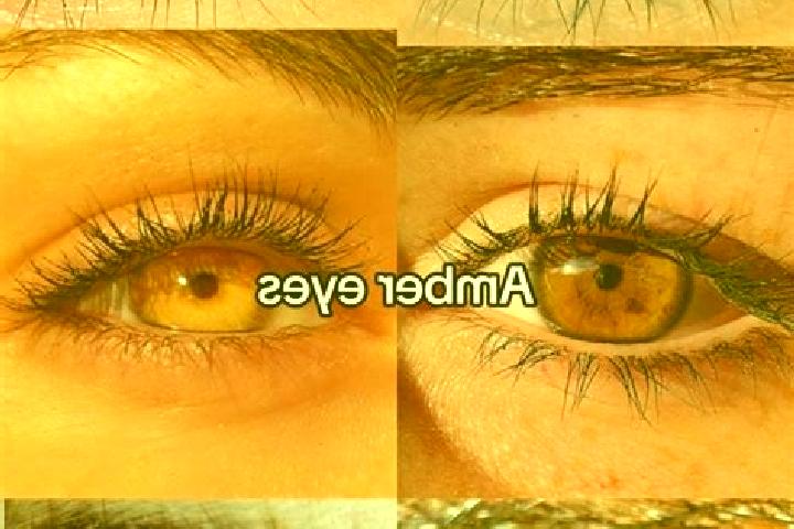 Addison, 38, a brunette amber-eyed european companion based in Shanshi. Offering BDSM, GFE, Overnight. Available for incall and outcall, overnight bookings a...