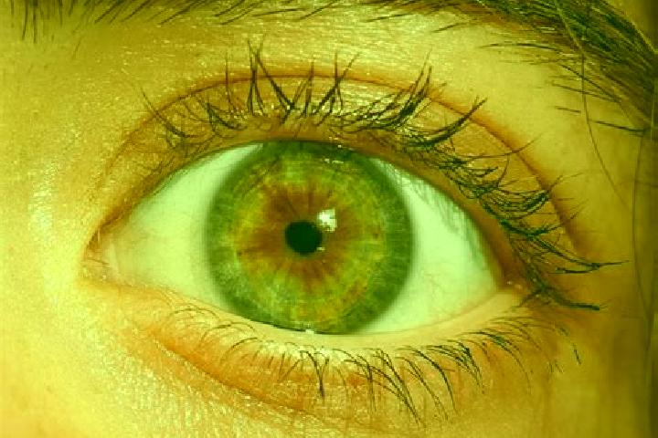 Addison, 38, a red hazel-eyed slavic companion based in Luky. Offering Girlfriend Experience, CIM, Roleplay. Available for incall and outcall, overnight book...