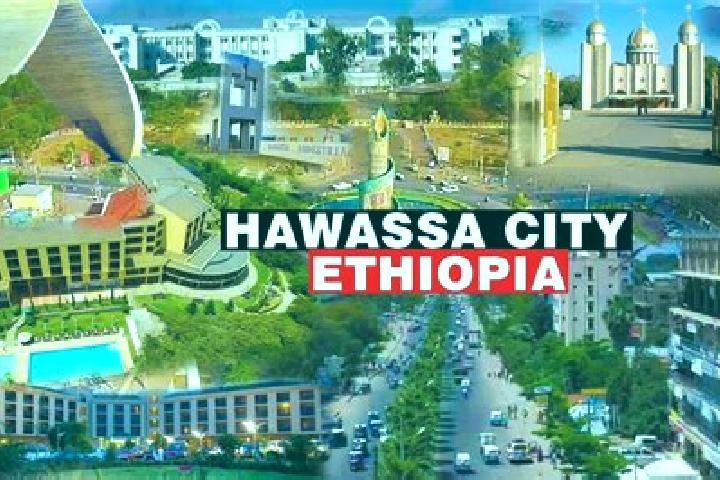 Addison, 38 — Escort in Bale Hawassa, Ethiopia