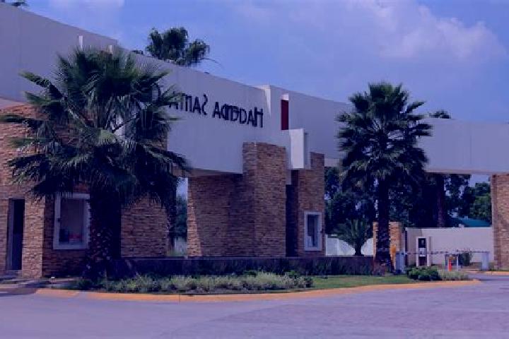Addison, 38 — Escort in Hacienda la Cruz [Fraccionamiento], Mexico
