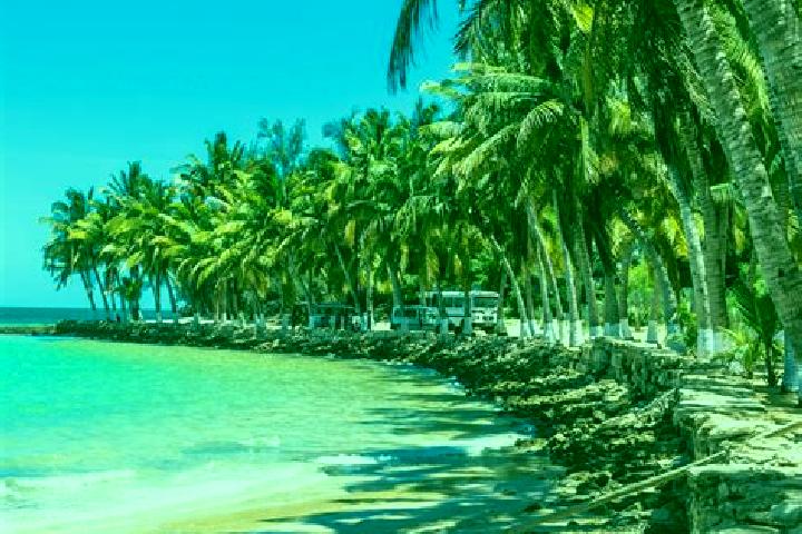 Addison, 38 — Escort in Itampolo, Madagascar