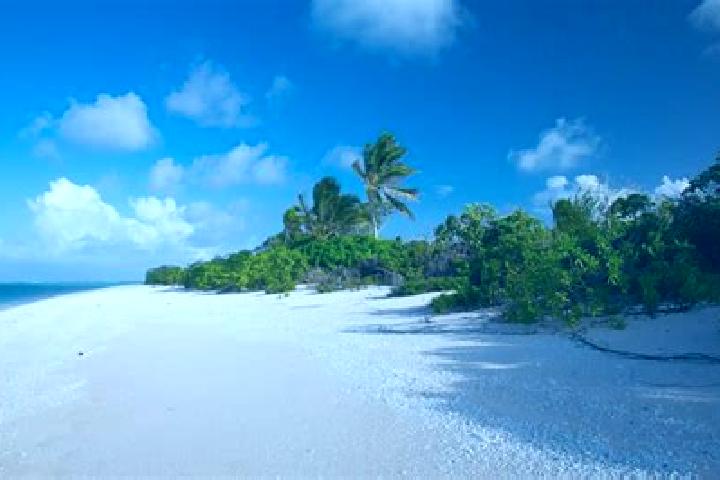 Addison, 38 — Escort in Likiep, Marshall Islands