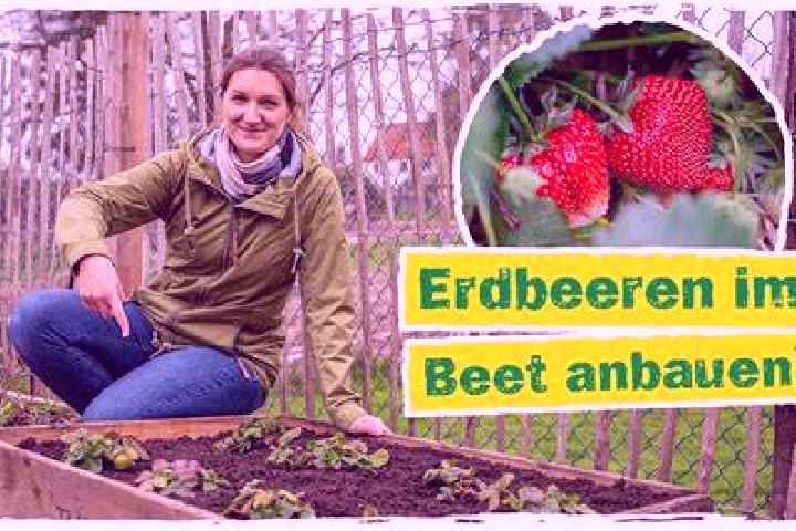 Addison, 38 — Escort in Pfakofen, Germany