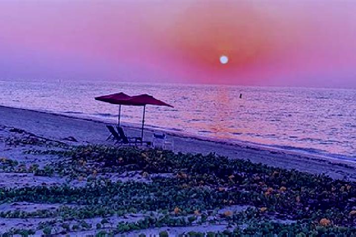 Addison, 38 — Escort in Ras Tanura, Saudi Arabia
