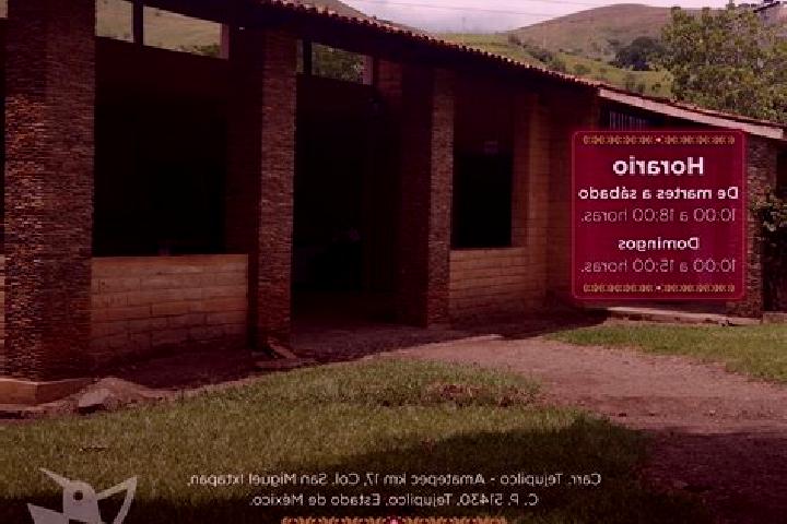 Addison, 38 — Escort in San Miguel Ixtapan, Mexico