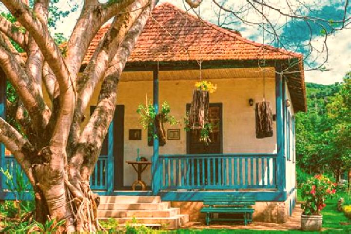 Addison, 38 — Escort in Santa Maria de Jetiba, Brazil