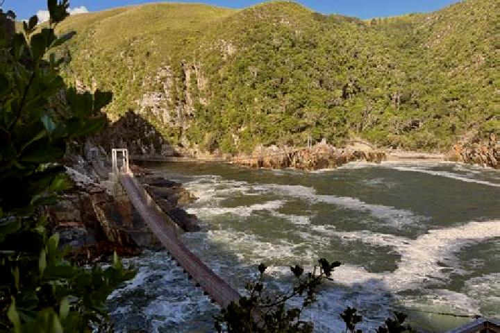 Addison, 38 — Escort in Stormsrivier, South Africa