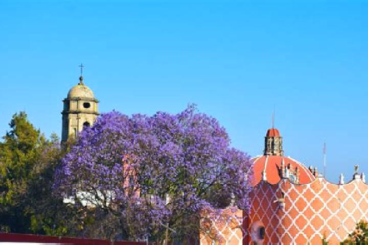 Addison, 38 — Escort in Tlahuac, Mexico