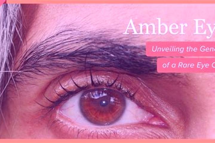 Addison, 39, a black amber-eyed mediterranean companion based in Oberschoenau. Offering GFE, Travel Companion, Duos, A-Level, Striptease. Available for incal...