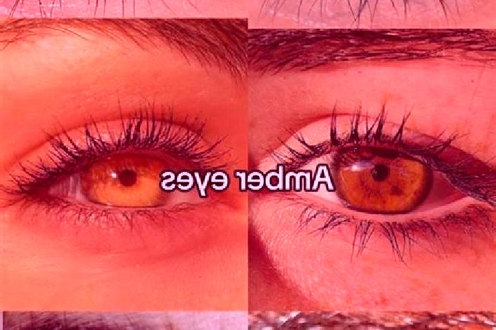 Addison, 39, a chestnut amber-eyed mediterranean companion based in Anlong Veaeng. Offering Dinner Date, Party Girl, Couples. Available for incall and outcal...