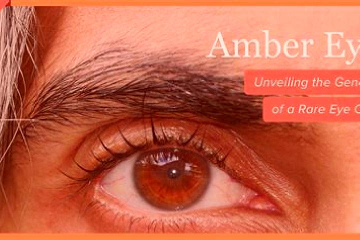 Addison, 39, a red amber-eyed slavic companion based in Dedovsk. Offering Duos, BDSM, Roleplay, GFE. Available for incall and outcall, day and evening dates.