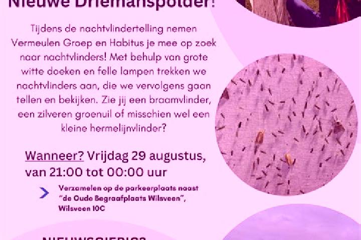 Addison, 39 — Escort in Driemanspolder, Netherlands