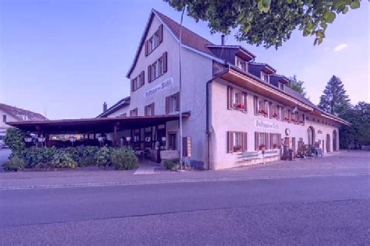 Addison, 39 — Escort in Gipf-Oberfrick, Switzerland