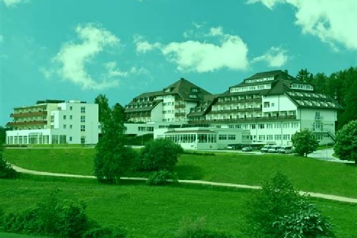 Addison, 39 — Escort in Gleichenberg Dorf, Austria