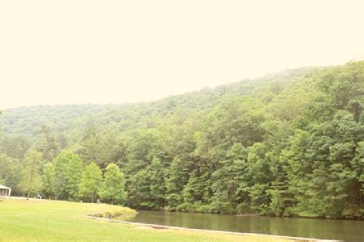 Addison, 39 — Escort in Lykens, United States