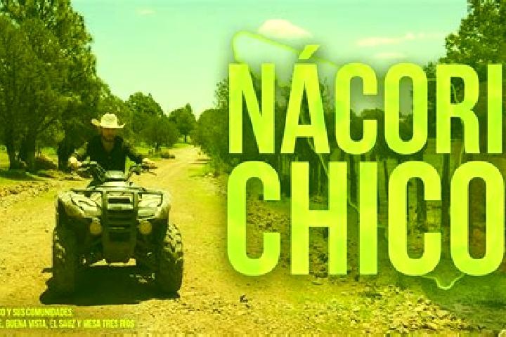Addison, 39 — Escort in Nacori Chico, Mexico
