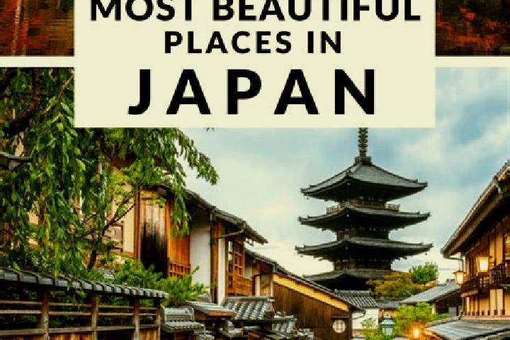 Addison, 39 — Escort in Negishicho, Japan