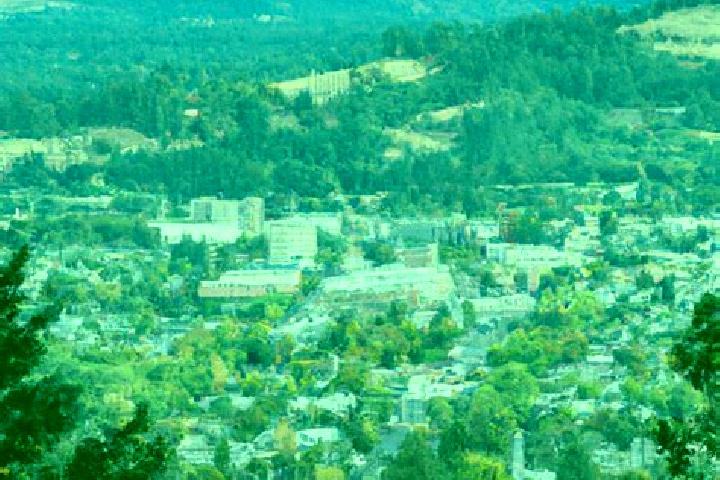 Addison, 39 — Escort in Roseburg, United States