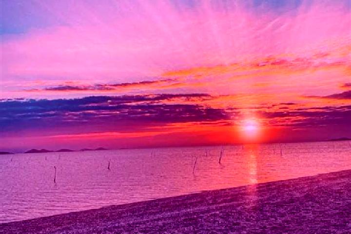 Addison, 39 — Escort in San Dionisio del Mar, Mexico