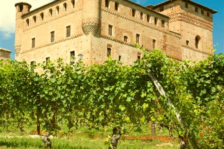 Addison, 39 — Escort in Serravalle Langhe, Italy
