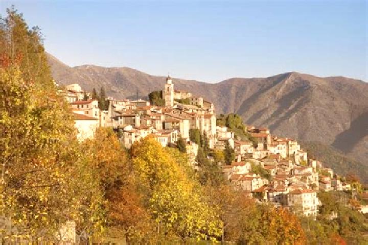 Addison, 39 — Escort in Triora, Italy