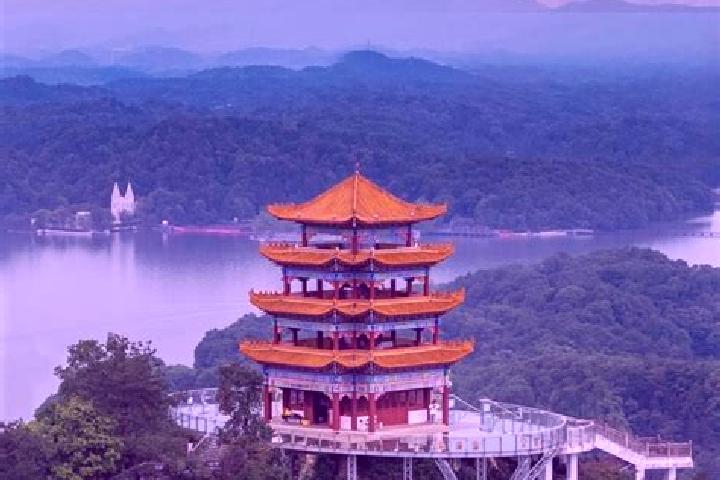 Addison, 39 — Escort in Xinyu, China