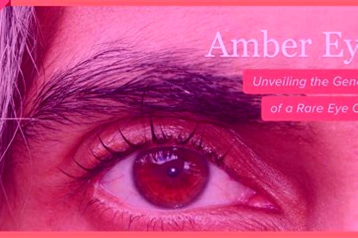 Alice, 20, a red amber-eyed european companion based in Kakucs. Offering Dinner Date, Tantra, Travel Companion. Available for incall and outcall, overnight b...