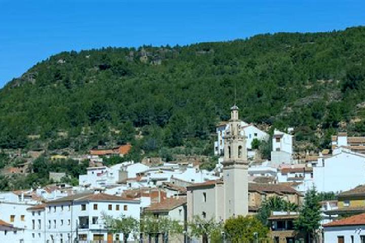 Alice, 20 — Escort in Fuentes de Ayodar, Spain