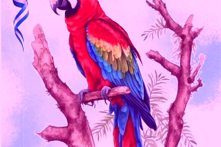Alice, 20 — Escort in La Guacamaya, Honduras