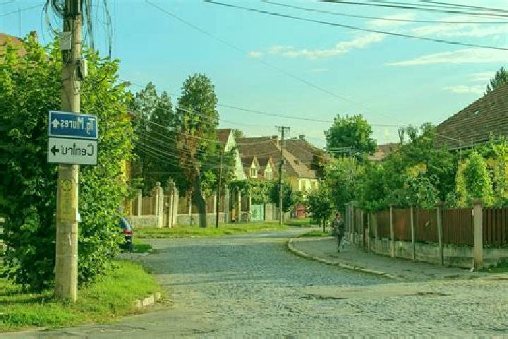 Alice, 20 — Escort in Luncasi, Romania