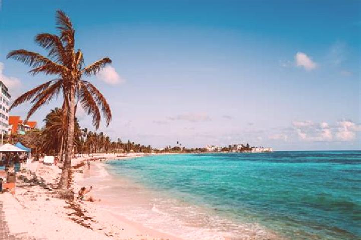 Alice, 20 — Escort in San Andres Ixtlan, Mexico