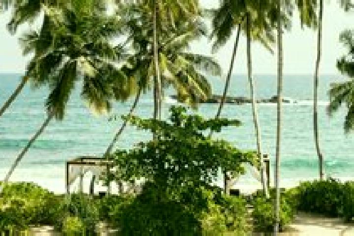 Alice, 20 — Escort in Tangalle, Sri Lanka