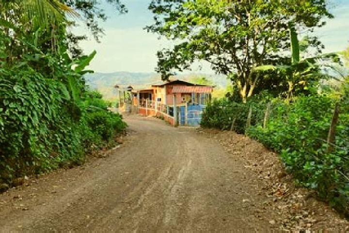 Alice, 20 — Escort in Wiwili, Nicaragua