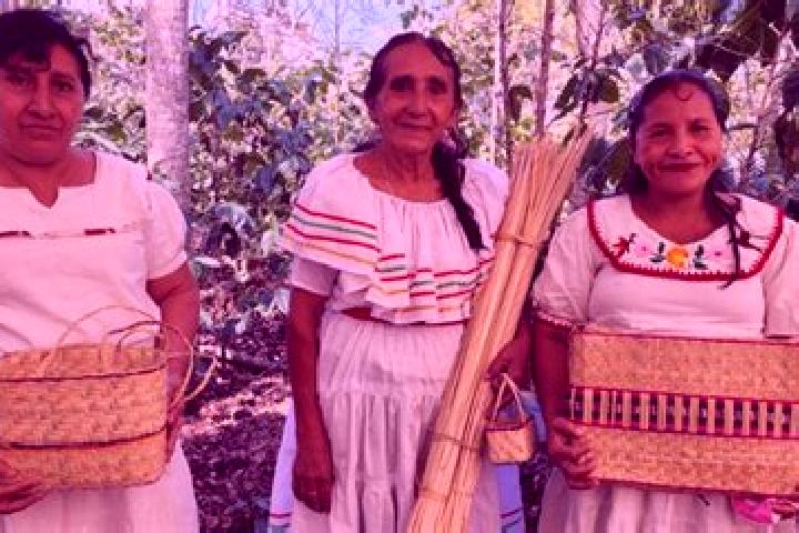 Alice, 20 — Escort in Yupiltepeque, Guatemala
