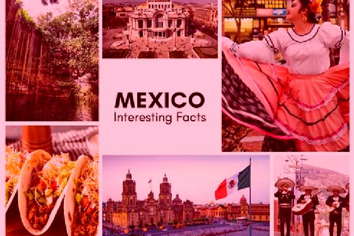 Alice, 21 — Escort in Aratzipu, Mexico
