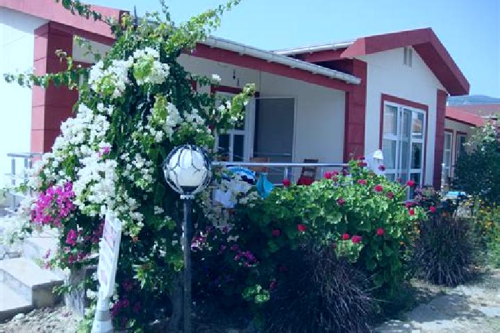 Alice, 21 — Escort in Bozalan, Turkey