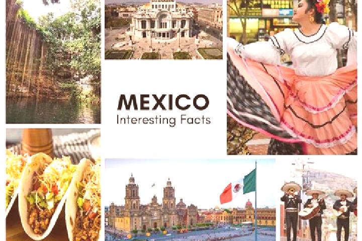 Alice, 21 — Escort in Canada Verde, Mexico