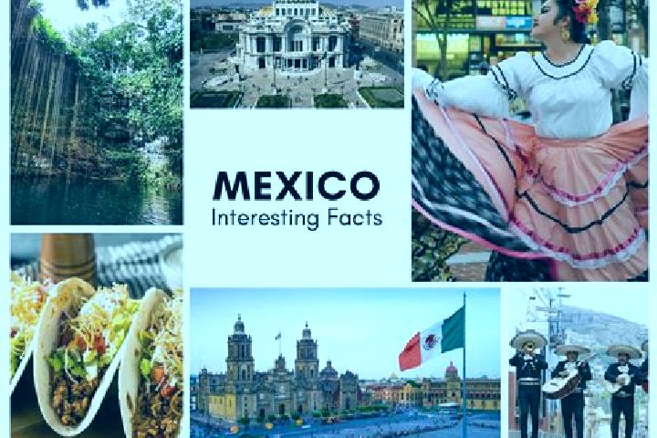 Alice, 21 — Escort in Yobain, Mexico