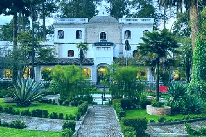 Alice, 22 — Escort in La Penuela, Mexico