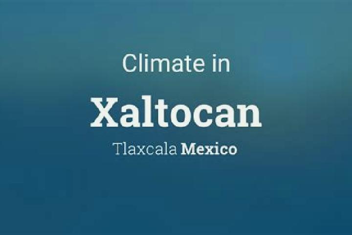 Alice, 22 — Escort in Xaltocan, Mexico