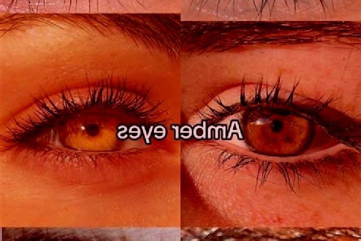 Alice, 23, a brunette amber-eyed slavic companion based in Ingared. Offering Couples, OWO, Striptease, Travel Companion. Available for incall and outcall, da...