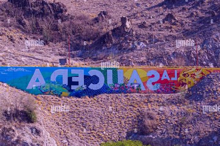 Alice, 23 — Escort in El Cerro de la Sauceda, Mexico