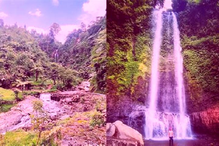 Alice, 23 — Escort in Manglid, Indonesia