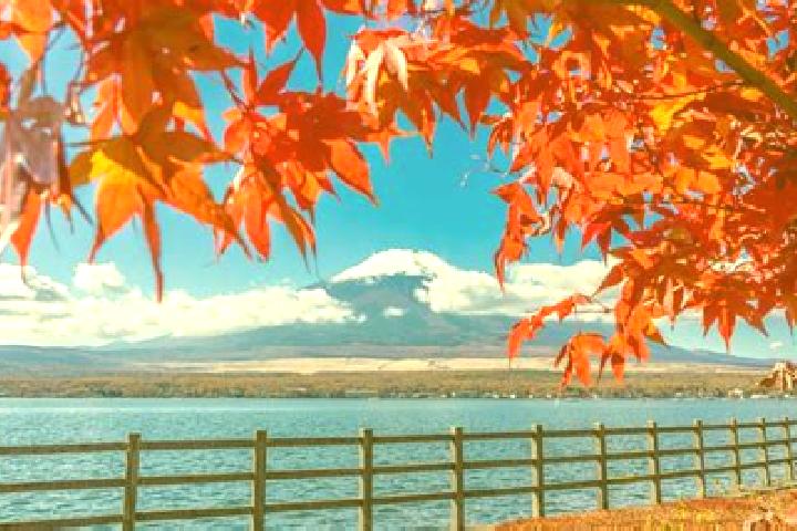 Alice, 23 — Escort in Minaminagareyama, Japan